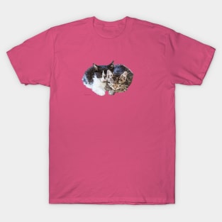 Sleeping Kittens T-Shirt